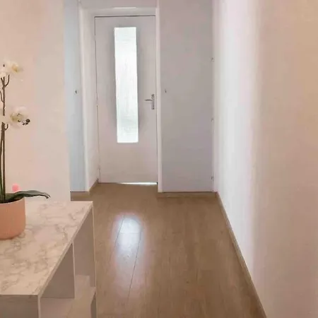 Lumineux De 50m2 Avec Terrasse *